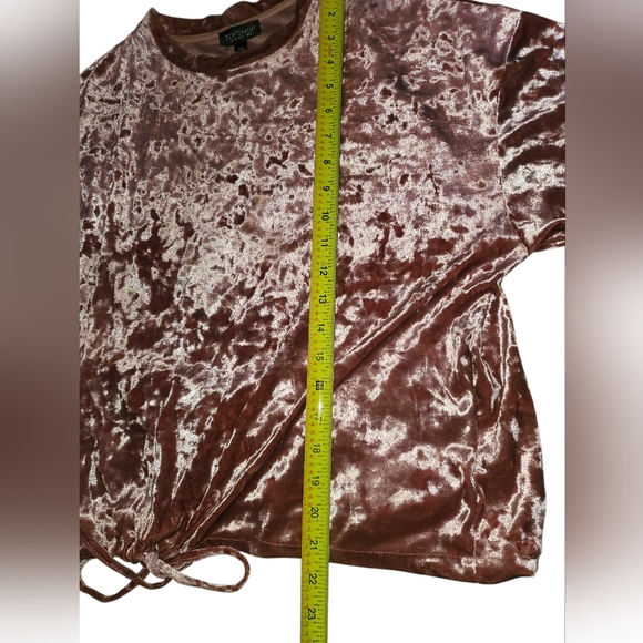 Topshop Rose Pink Crushed Velvet Top Size 2 - Picture 4 of 8